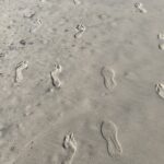 Footprints leading away for you in the sand on a beach near the waters edge. Some of the prints are made by bare feet but one set has been made by a jogger wearing sneakers